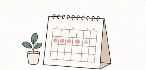Illustration of a menstrual cycle calendar