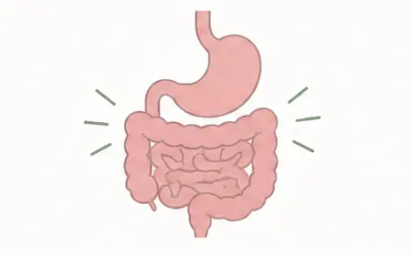 Illustration representing digestive changes during stress